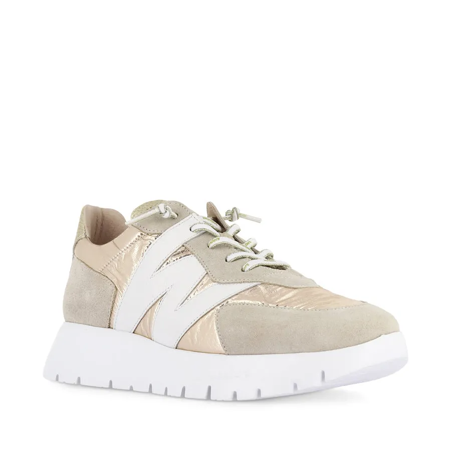 APEROL A-2464 - GOLD MULTI