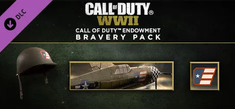 Call of Duty: WWII (PC)