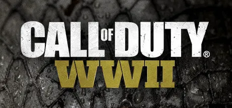 Call of Duty: WWII (PC)