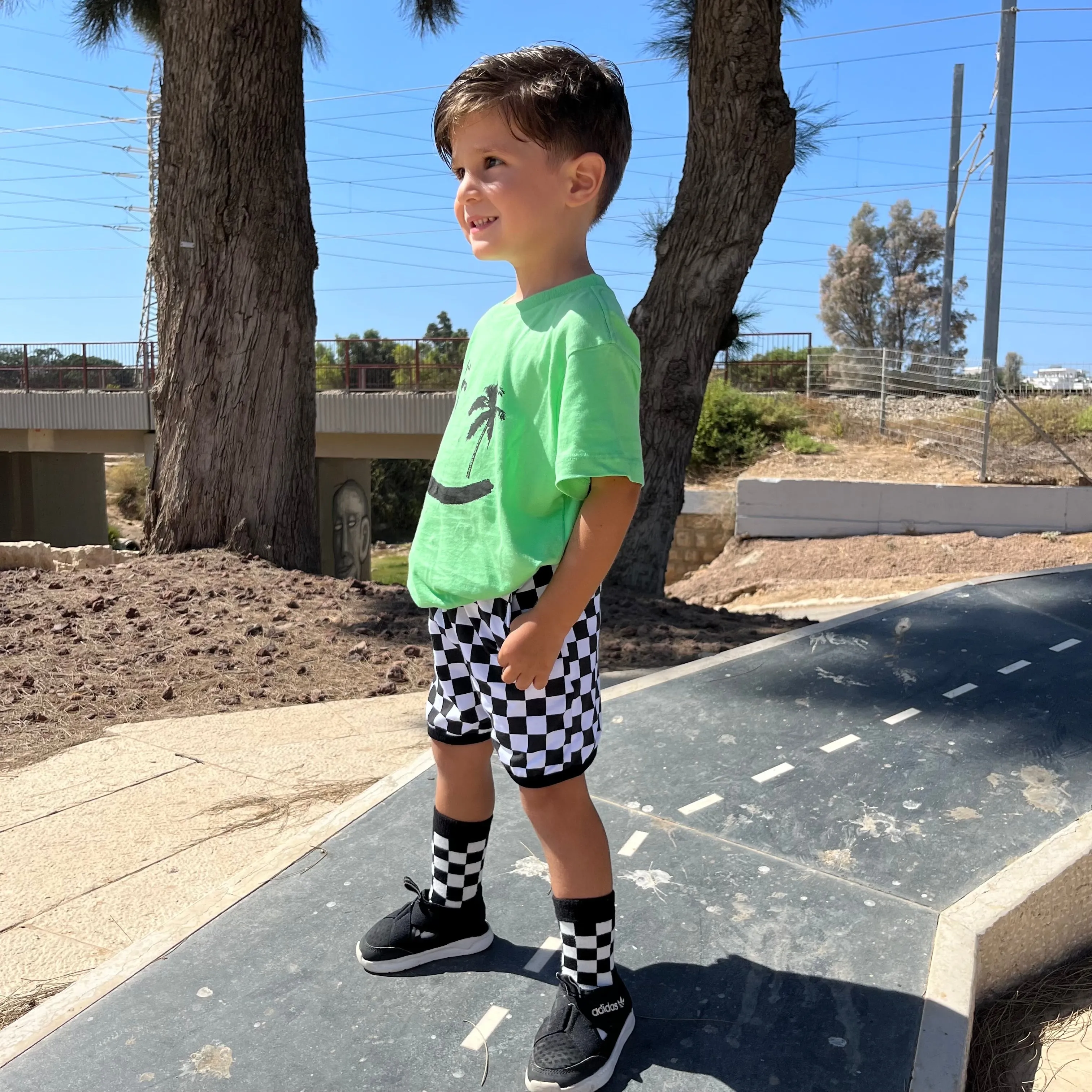 Checkered Socks