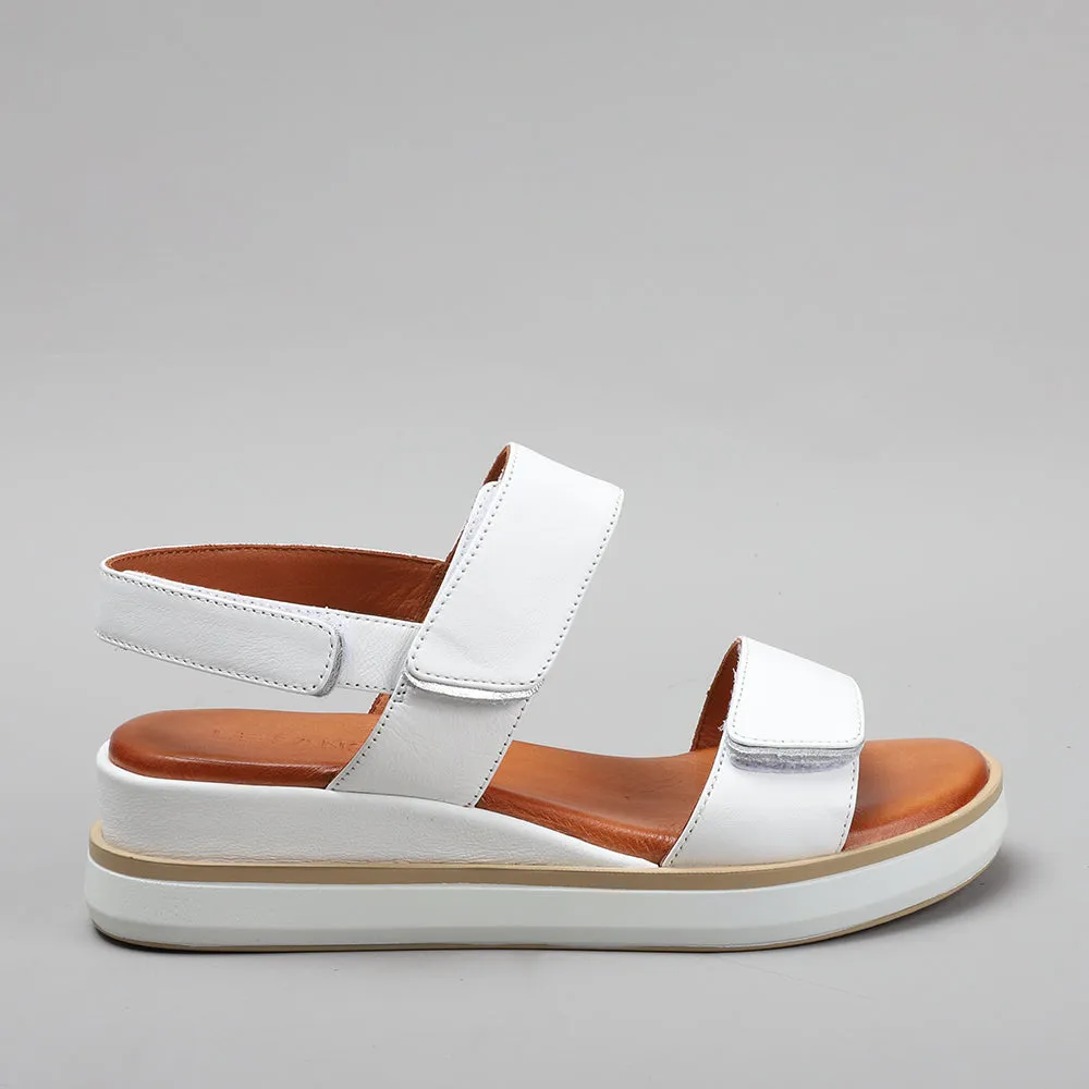 Holly - White