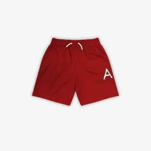 Jordan Jumpman Air Mesh Youth Shorts - Red