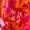 Pink And Orange Floral One Shoulder Frill Mini Dress